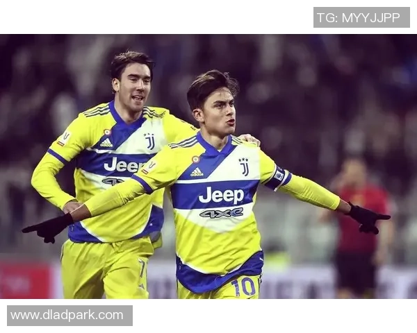 弗拉霍维奇的崛起与未来展望解析足球界的新星魅力与挑战