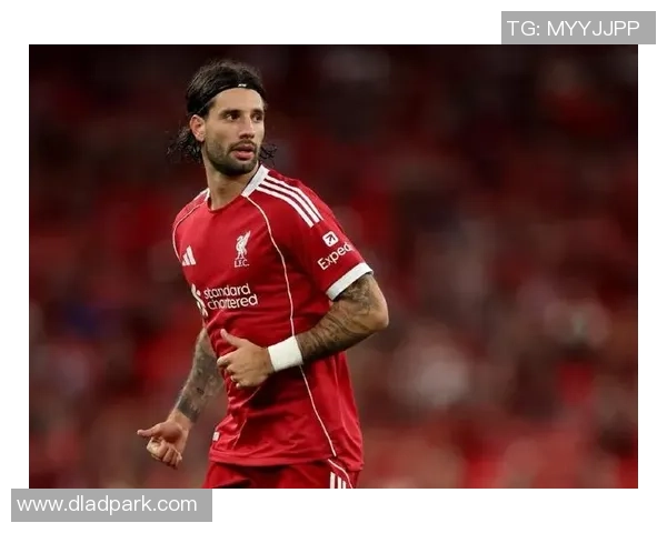 索博斯洛伊的历史与文化探秘：从古老传说到现代发展之路